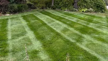 Landscape Design for MDR Landscaping in Urbana, IL