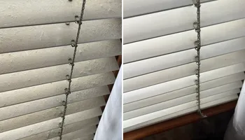 Residential Cleaning for Derby Restorations in Columbus, OH