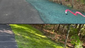 Tree Work for Baboosic Tree & Landscape in Merrimack, NH