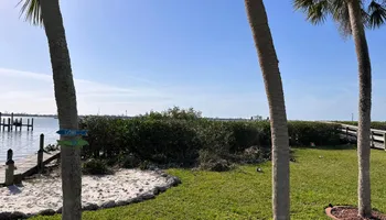 Tree Removal for MX Trees LLC in Englewood, FL