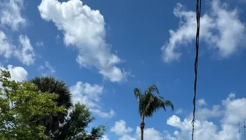 Tree Removal for Lemon Bay Tree Service  in Englewood, FL