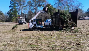 Tree Removal for Kingdom Riderz Hauling And Tree Service in Tar Heel, NC