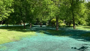 Hydroseeding for TS Hydroseeding in Morris,  MN