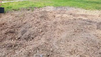 Tree Removal for Regal Tree Service and Stump Grinding in Wauchula, FL