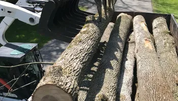 Tree Removal for Mays Tree and Stump Removal in Alden, NY