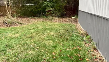 Tree Removal for Kadin’s Tree Service in North Vernon, IN