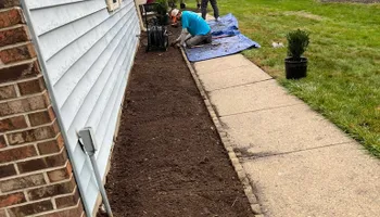 Tree Removal for Tree ReLeaf in Manalapan, NJ