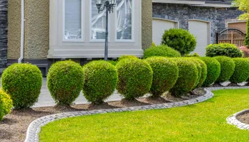 Tree Removal for Ascension Tree Care LLC in Yakima County, WA