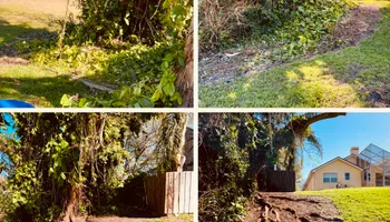 Tree Removal for Elevation Tree Service in Holiday, FL