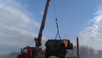 Tree Removal for Summit Tree Care LLC in Fort Wayne, IN