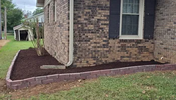Tree Removal for Optimum Tree Service And Landscaping in Bowling Green, KY