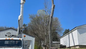 Tree Removal for Ross Family Tree Service LLC  in Hohenwald, TN