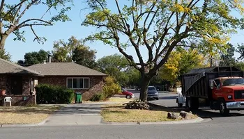 Tree Removal for Lalo's Tree Service in Willows, CA