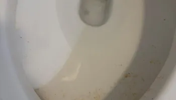 Residential Cleaning for A+ Cleaning and Services LLC in Deep Creek Lake, MD 