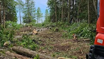 Driveways for T & T Excavating and Property Services in Presque Isle County, MI