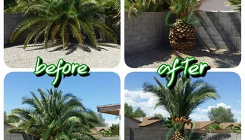 Landscape Installation for CRAJE Landscaping LLC in Mesa, AZ