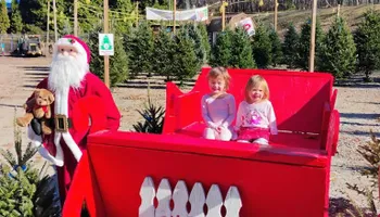 Pinestraw for BAM Another Pinestraw Lot in Flowery Branch, GA