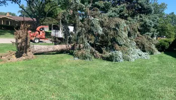 Tree Removal for Ramirez Tree Care in Pontiac, Michigan