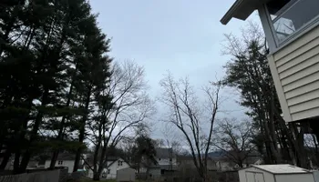 Tree Removal for Licensed to Cut Tree Service in Athens, PA