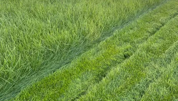 Mowing for L&S Landscaping in Layton, UT