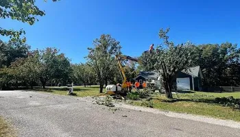 Tree Removal for Ross Family Tree Service LLC  in Hohenwald, TN