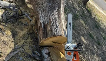 Tree Removal for Compas Cleanup in McCamey, TX