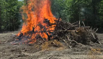 Land Clearing for Page Outdoor Services in Wrightsville, GA