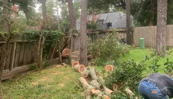 Tree Removal & Trimming for Teague Trees and Land Clearing in Rendon, TX