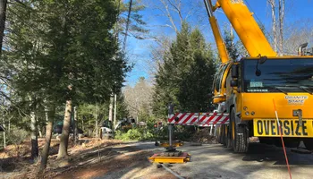 Tree Removal for Abair Tree Service in Weare, NH