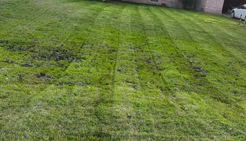 Landscape Installation for Green Scapes Landscaping in Terrell, TX