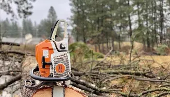 Tree Removal for King & Sons Urban Forestry in Coeur d'Alene, ID