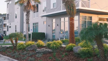 Landscape Lighting for Pro Designs Landscaping in Jacksonville, FL