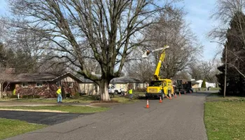 Tree Removal for SMITHs Tree Service in Columbus, IN