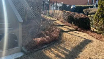 Pinestraw for BAM Another Pinestraw Lot in Flowery Branch, GA