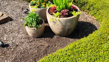 Mowing for Bruno's Professional Lawn's & Landscape in Beaumont, TX