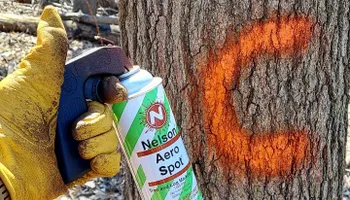 Wildlife & Hunting Property Management for Bluffside Forestry in Cedar Rapids, IA