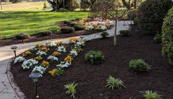 Land Grading for E-Z Care Lawn Service in Prince George, VA