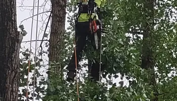 Residential Tree Services for TH Property Service, LLC in Manlius, NY