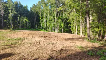 Land Clearing for 5 Star Land Management in Beech Bluff, TN