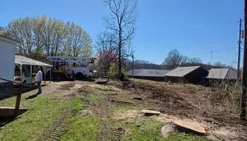 Tree Removal for Puckett's Tree Service in Decatur County, TN