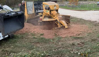 Tree Removal for Hingewood Tree Service in Salem, NJ