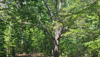 Land Clearing & Demolition for Whaley Land Development in Athens, TN