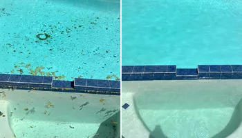 Pool Repair and Maintenance for Pool Serv Pro in Addison, TX