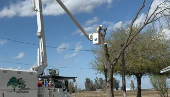 Tree Removal for Lalo's Tree Service in Willows, CA