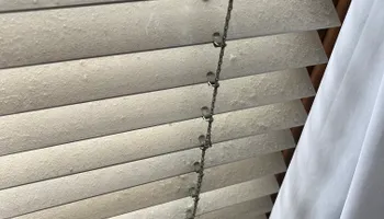 Residential Cleaning for Derby Restorations in Columbus, OH