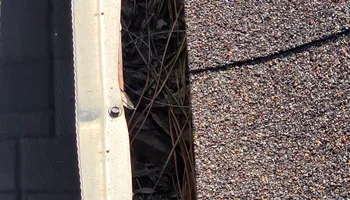 Shingle Roof Cleaning for Blue Stream Roof Cleaning & Pressure Washing in Tampa, FL