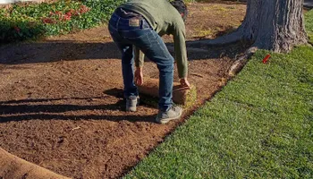 Residential Lawn Maintenance for 2 Brothers Landscaping in Albuquerque, NM