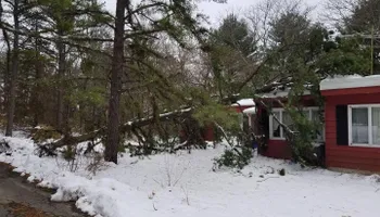 Tree Removal for Total Tree Service in Washington, NJ