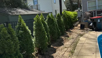 Commercial Landscaping for Evolutions Property Maintenance in Louisville, KY