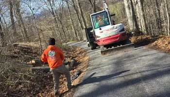 Tree Removal for Platas Tree Service  in Clyde, NC